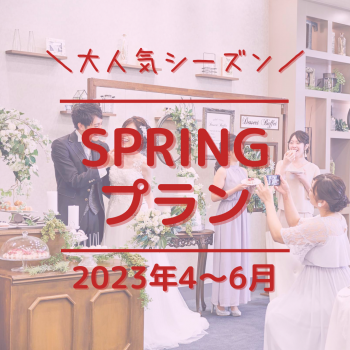 【大人気TOPシーズン】2024年4〜6月SPRING-春-プラン